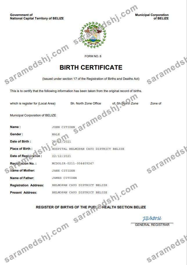 Belize vital record birth certificate Word and PDF template
